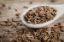 Picture of Cumin