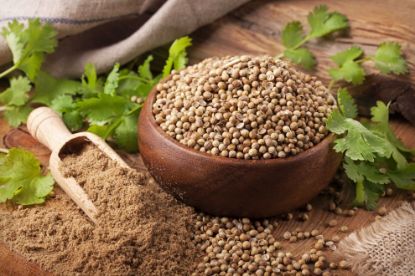 Picture of Coriander Seeds