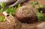 Picture of Coriander Seeds