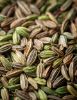 Picture of Fennel Seeds